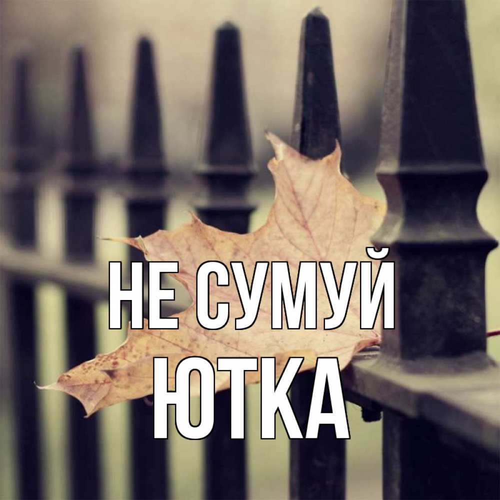 Открытка на каждый день з підписом, Ютка Не сумуй лист клена Прикольна листівка з побажанням онлайн скачати безкоштовно 