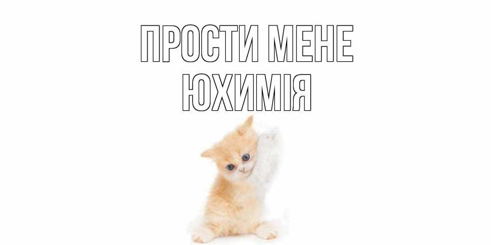 Открытка на каждый день з підписом, Юхимія Прости мене кот Прикольна листівка з побажанням онлайн скачати безкоштовно 