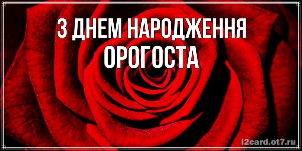Открытка на каждый день з підписом, Орогоста З Днем народження алая роза Прикольна листівка з побажанням онлайн скачати безкоштовно 
