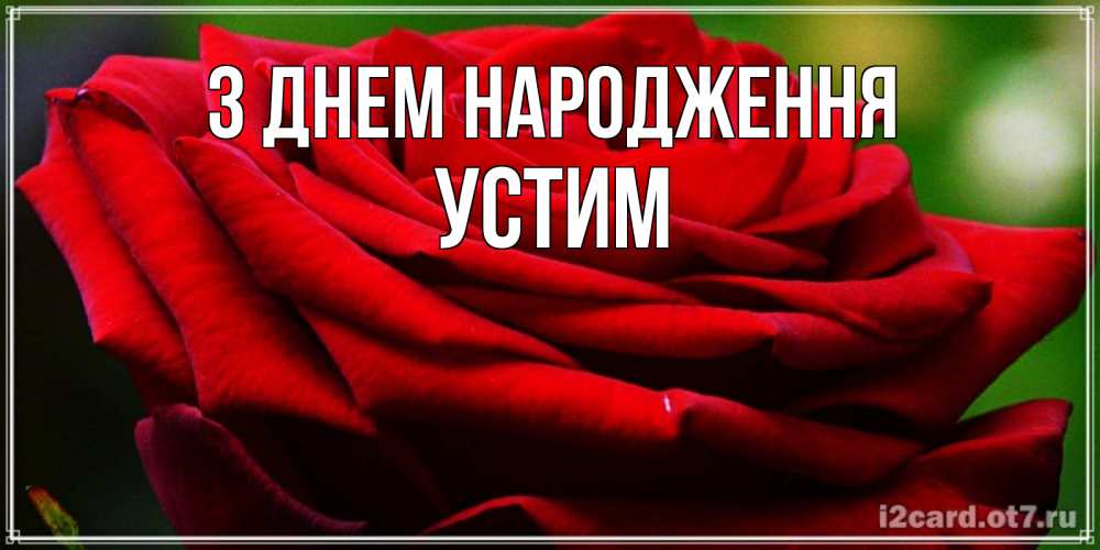 Открытка на каждый день з підписом, Устим З Днем народження розочка очень красивая Прикольна листівка з побажанням онлайн скачати безкоштовно 