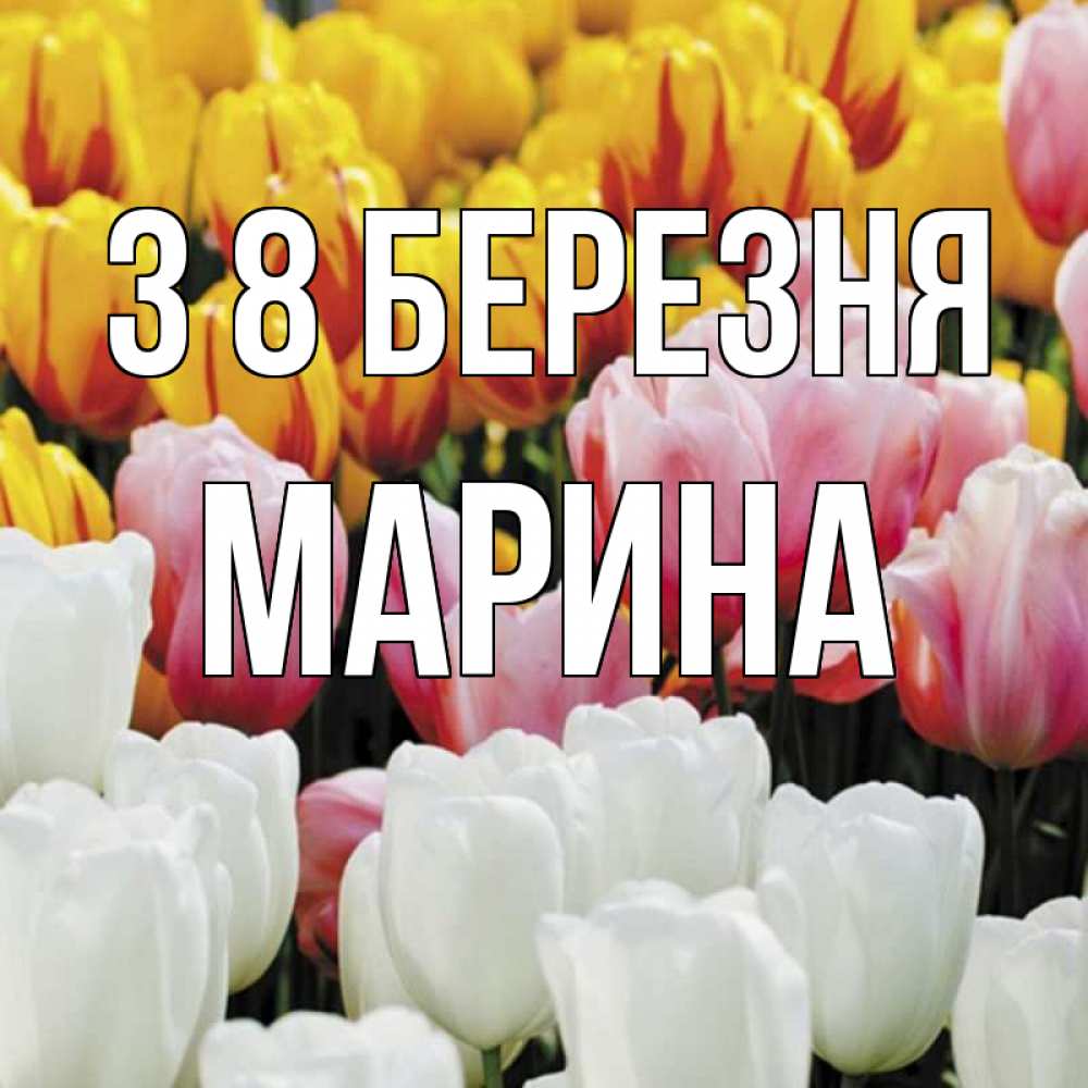 Открытка на каждый день з підписом, Марина З 8 БЕРЕЗНЯ разноцветные цветы Прикольна листівка з побажанням онлайн скачати безкоштовно 