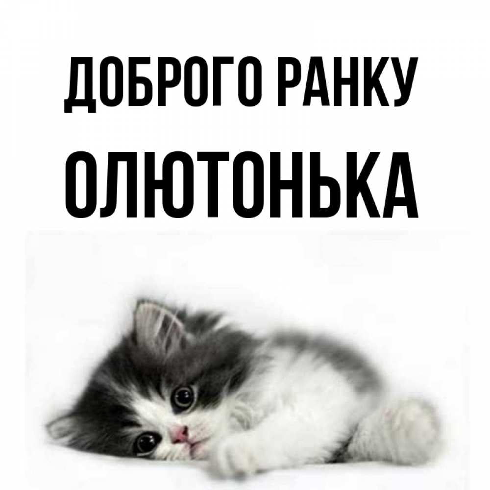 Открытка на каждый день з підписом, Олютонька Доброго ранку кот лапки Прикольна листівка з побажанням онлайн скачати безкоштовно 