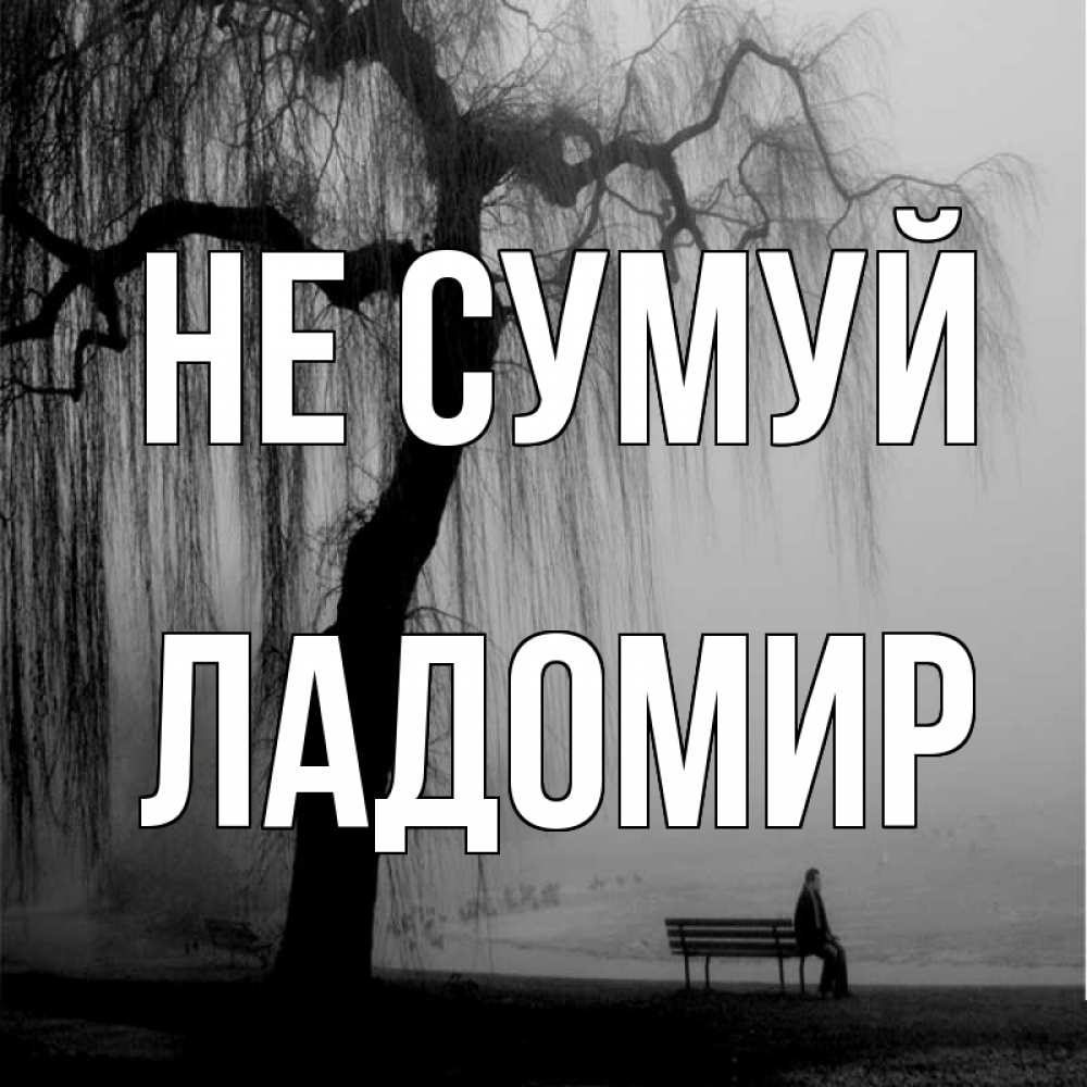 Открытка на каждый день з підписом, Ладомир Не сумуй висящие ветки дерева и лавочка под деревом Прикольна листівка з побажанням онлайн скачати безкоштовно 