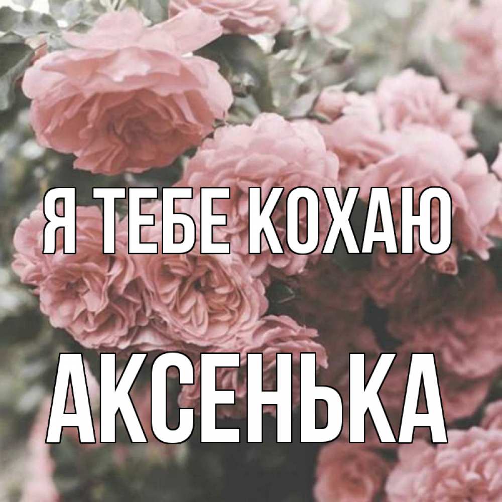 Открытка на каждый день з підписом, Аксенька Я тебе кохаю розы 3 Прикольна листівка з побажанням онлайн скачати безкоштовно 