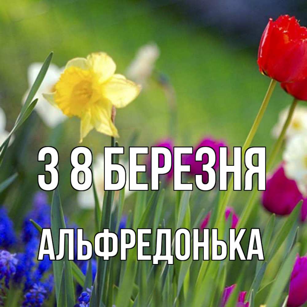 Открытка на каждый день з підписом, Альфредонька З 8 БЕРЕЗНЯ международный женский день 3 Прикольна листівка з побажанням онлайн скачати безкоштовно 