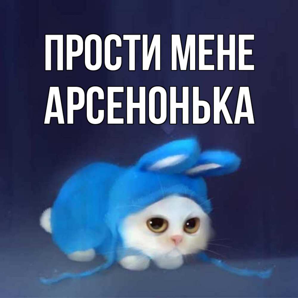 Открытка на каждый день з підписом, Арсенонька Прости мене невинный котозай просит прощения Прикольна листівка з побажанням онлайн скачати безкоштовно 