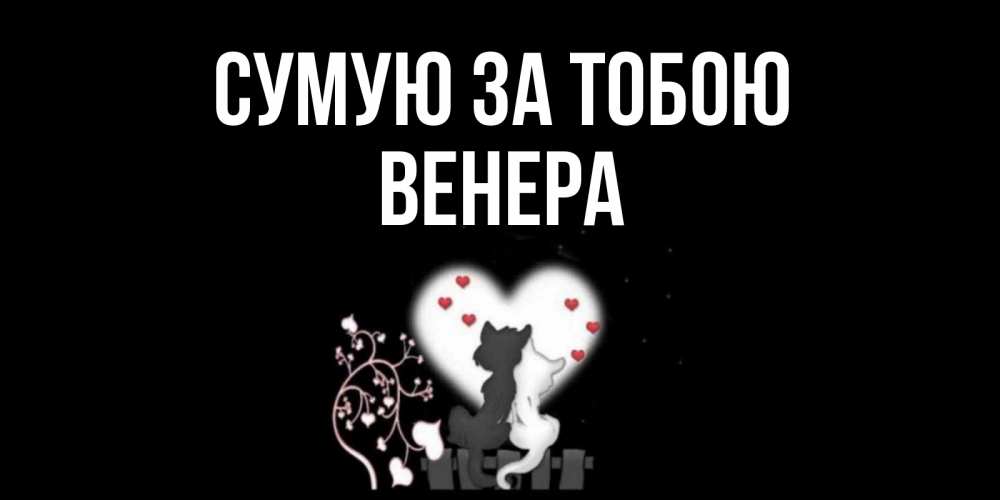 Открытка на каждый день з підписом, Венера Сумую за тобою коты Прикольна листівка з побажанням онлайн скачати безкоштовно 