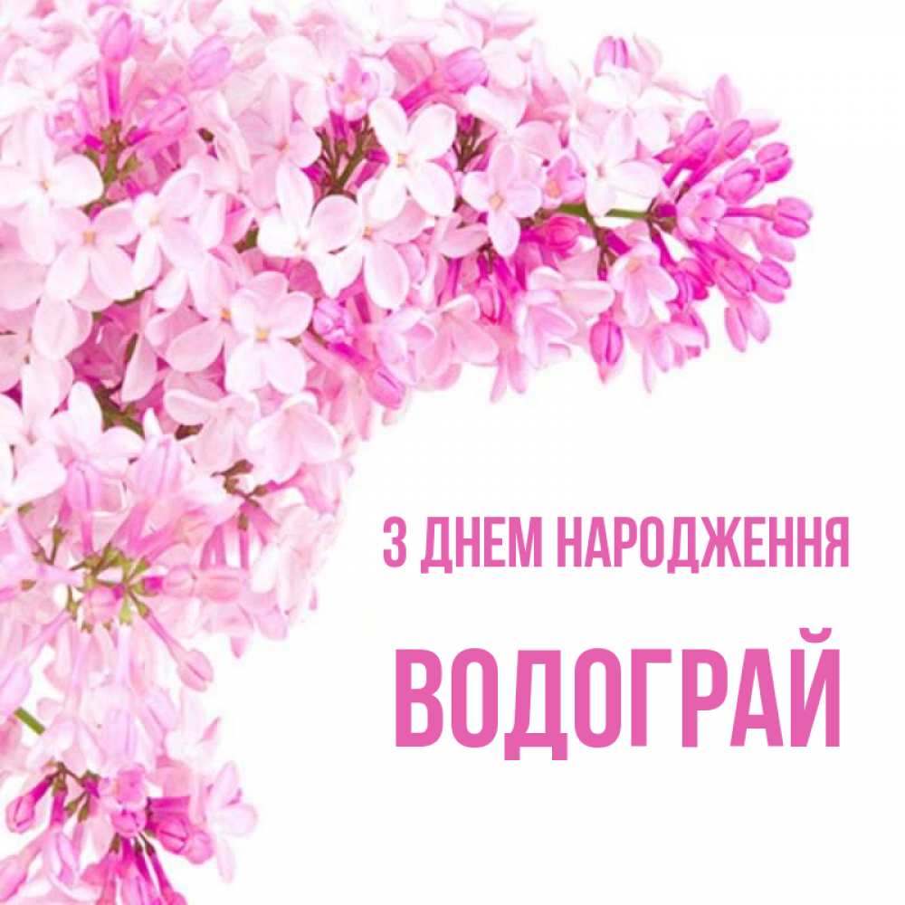 Открытка на каждый день з підписом, Водограй З Днем народження Сирень на белом фоне Прикольна листівка з побажанням онлайн скачати безкоштовно 