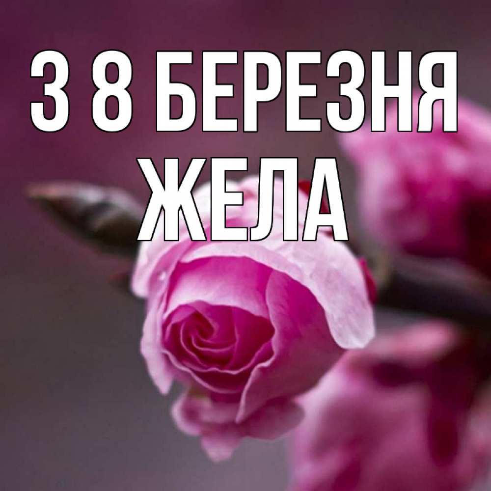 Открытка на каждый день з підписом, Жела З 8 БЕРЕЗНЯ весна Прикольна листівка з побажанням онлайн скачати безкоштовно 