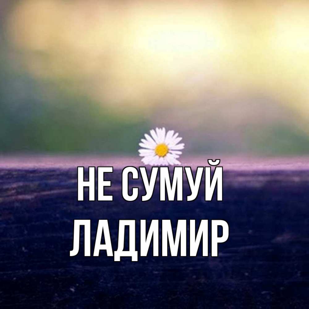 Открытка на каждый день з підписом, Ладимир Не сумуй красота Прикольна листівка з побажанням онлайн скачати безкоштовно 