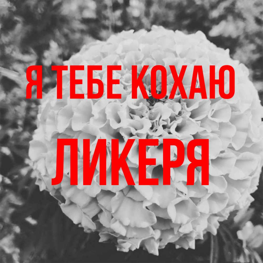 Открытка на каждый день з підписом, Ликеря Я тебе кохаю подпись Прикольна листівка з побажанням онлайн скачати безкоштовно 