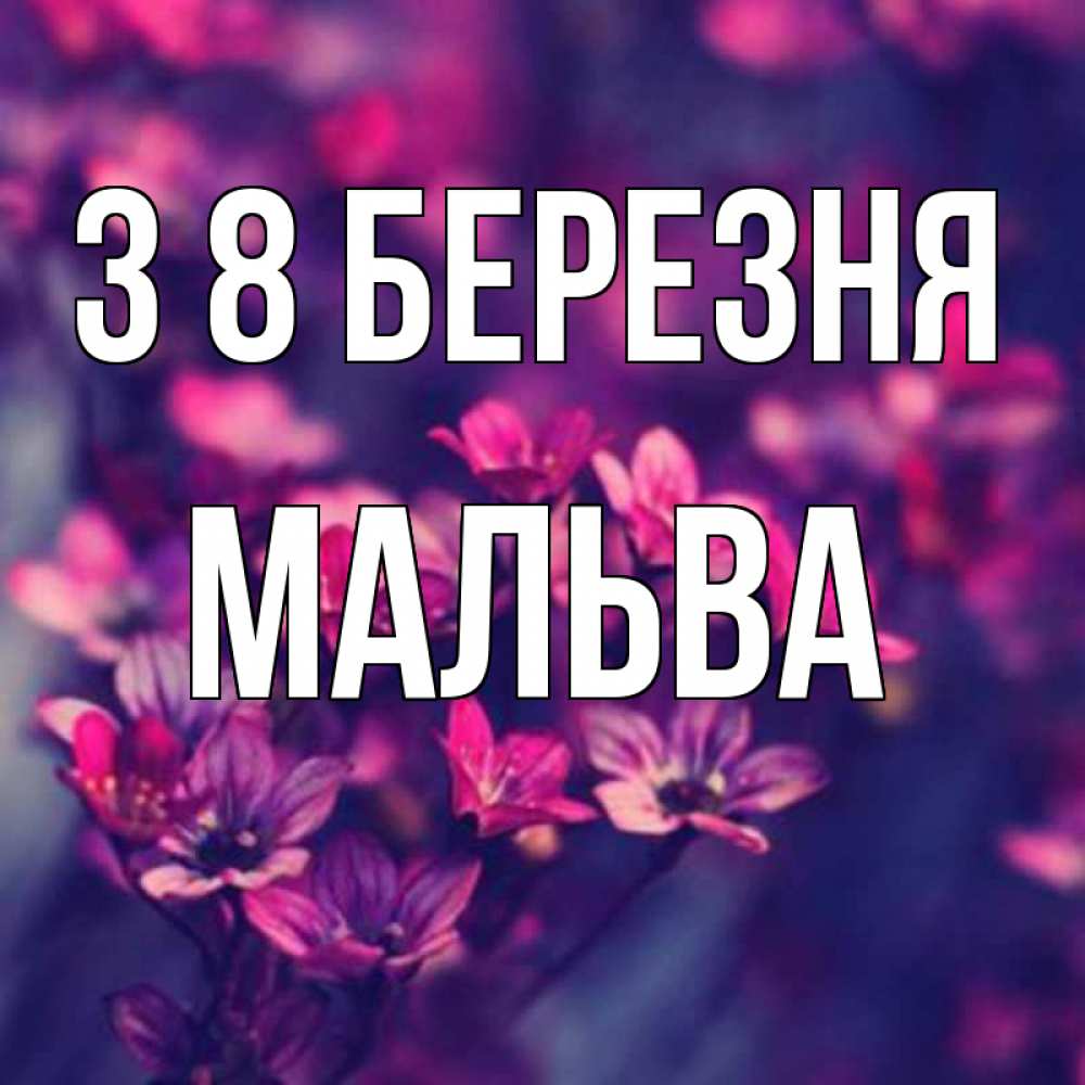 Открытка на каждый день з підписом, Мальва З 8 БЕРЕЗНЯ небольшие цветы 1 Прикольна листівка з побажанням онлайн скачати безкоштовно 