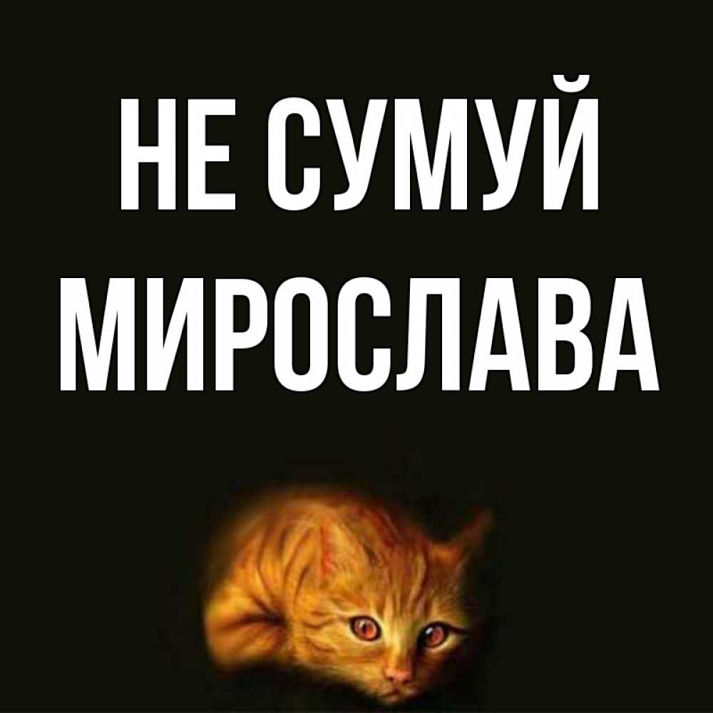Открытка на каждый день з підписом, Мирослава Не сумуй лежащий кот в темноте Прикольна листівка з побажанням онлайн скачати безкоштовно 