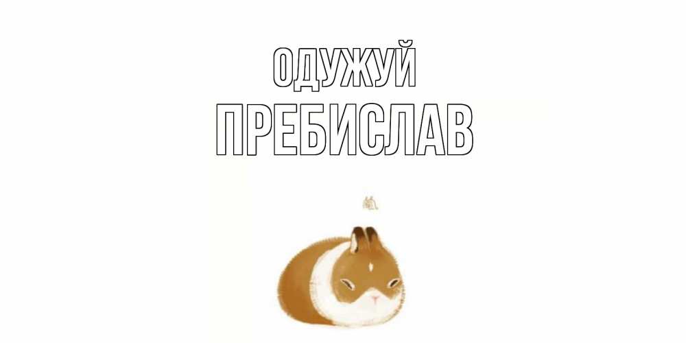 Открытка на каждый день з підписом, Пребислав Одужуй морская свинка на открытке с пожеланиями не болеть Прикольна листівка з побажанням онлайн скачати безкоштовно 