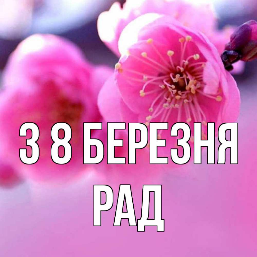 Открытка на каждый день з підписом, Рад З 8 БЕРЕЗНЯ международный женский день Прикольна листівка з побажанням онлайн скачати безкоштовно 