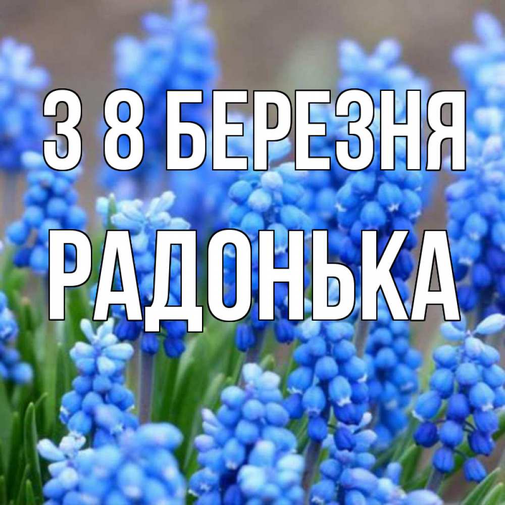 Открытка на каждый день з підписом, Радонька З 8 БЕРЕЗНЯ Поздравительная открытка для женщин с цветами на праздничную дату Прикольна листівка з побажанням онлайн скачати безкоштовно 