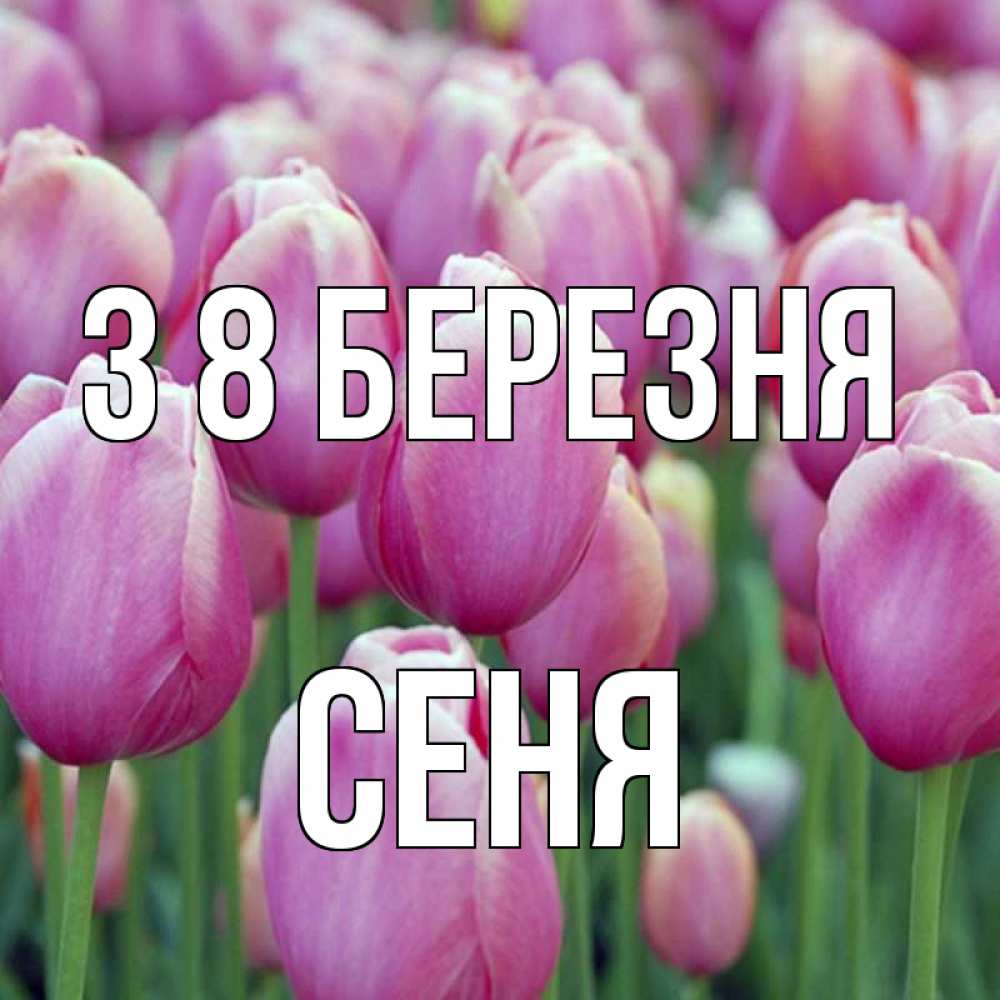 Открытка на каждый день з підписом, Сеня З 8 БЕРЕЗНЯ на международный женский день 3 Прикольна листівка з побажанням онлайн скачати безкоштовно 