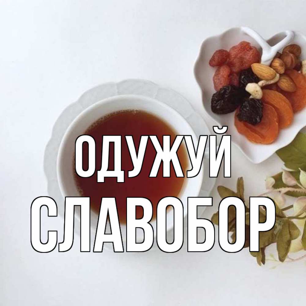 Открытка на каждый день з підписом, Славобор Одужуй неизвестные растения Прикольна листівка з побажанням онлайн скачати безкоштовно 