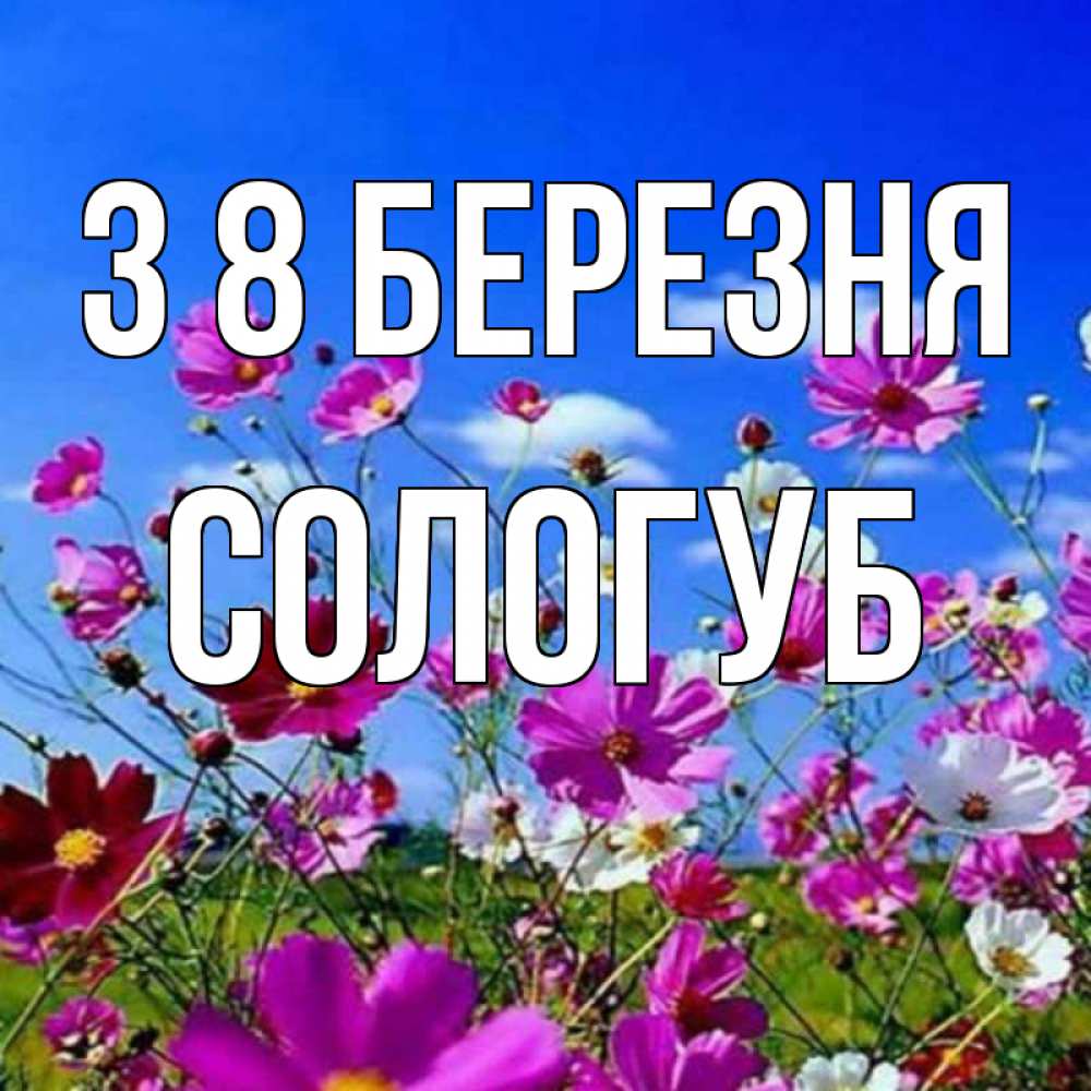 Открытка на каждый день з підписом, Сологуб З 8 БЕРЕЗНЯ цветы Прикольна листівка з побажанням онлайн скачати безкоштовно 