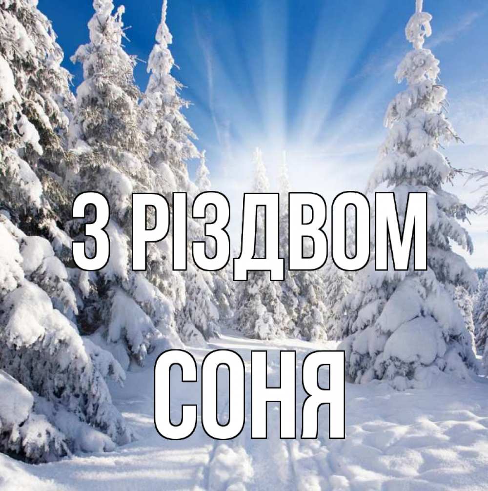 Открытка на каждый день з підписом, Соня З Різдвом зима, лес Прикольна листівка з побажанням онлайн скачати безкоштовно 