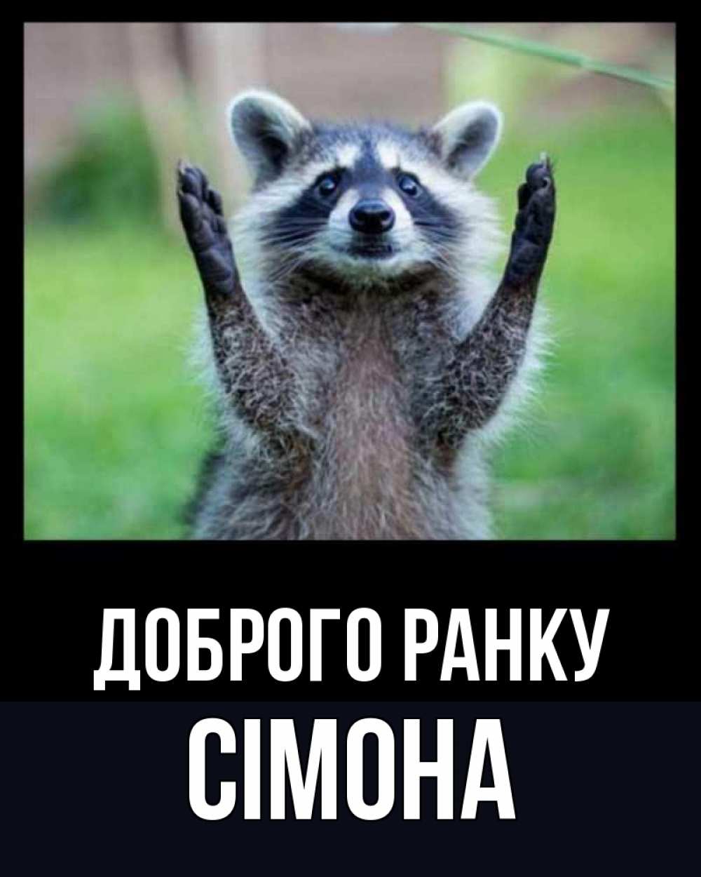Открытка на каждый день з підписом, Сімона Доброго ранку хорошее настроение утречком Прикольна листівка з побажанням онлайн скачати безкоштовно 