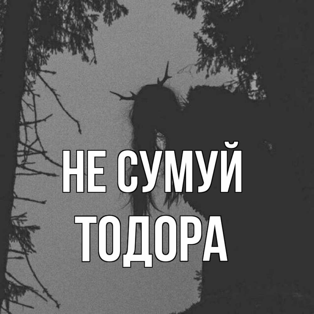Открытка на каждый день з підписом, Тодора Не сумуй чудище лесное Прикольна листівка з побажанням онлайн скачати безкоштовно 