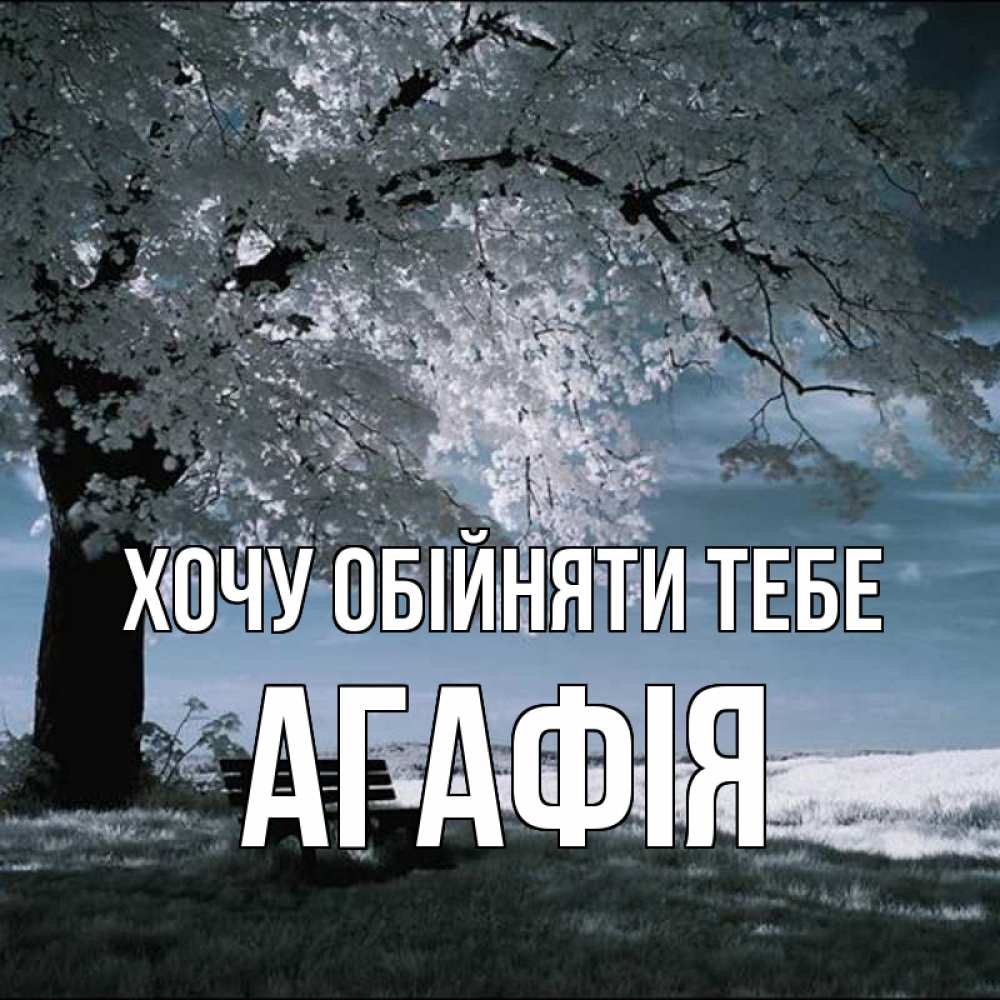 Открытка на каждый день з підписом, Агафія Хочу обійняти тебе дерево Прикольна листівка з побажанням онлайн скачати безкоштовно 