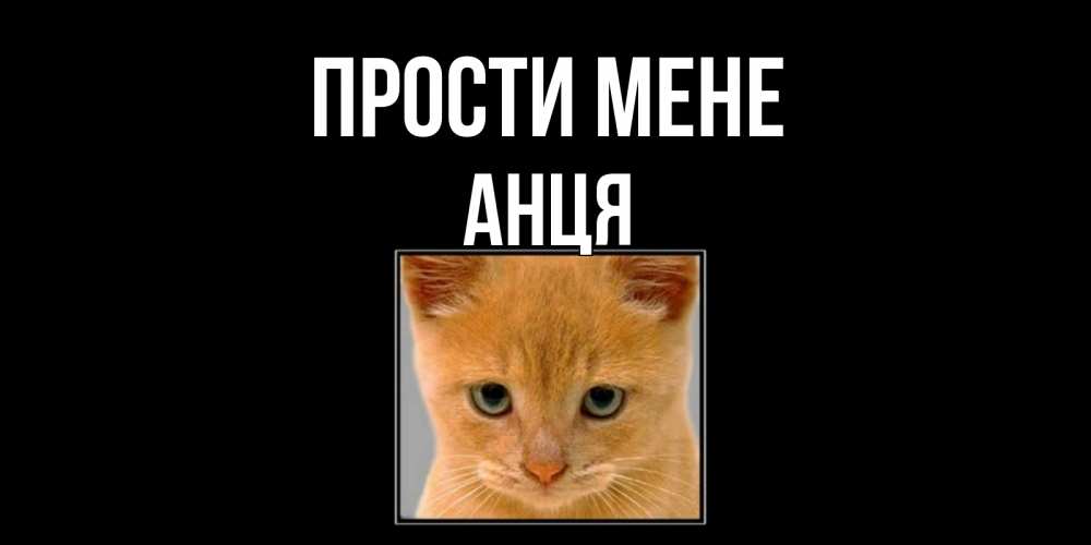 Открытка на каждый день з підписом, Анця Прости мене рыжий грустный кот просит прощения Прикольна листівка з побажанням онлайн скачати безкоштовно 