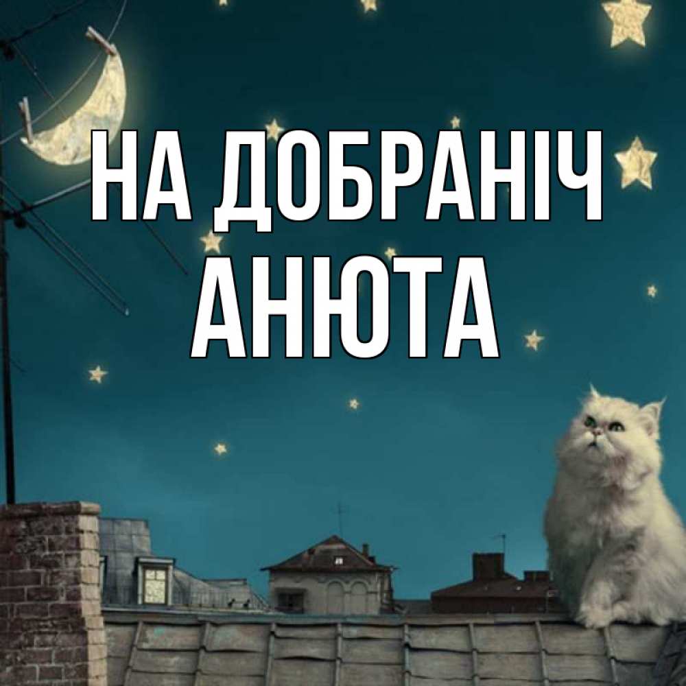 Открытка на каждый день з підписом, Анюта На добраніч белый кот сидит на крыше Прикольна листівка з побажанням онлайн скачати безкоштовно 