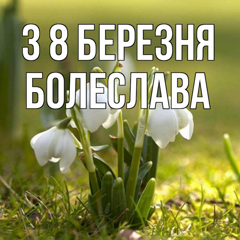 Открытка на каждый день з підписом, Болеслава З 8 БЕРЕЗНЯ ранние цветы 2 Прикольна листівка з побажанням онлайн скачати безкоштовно 