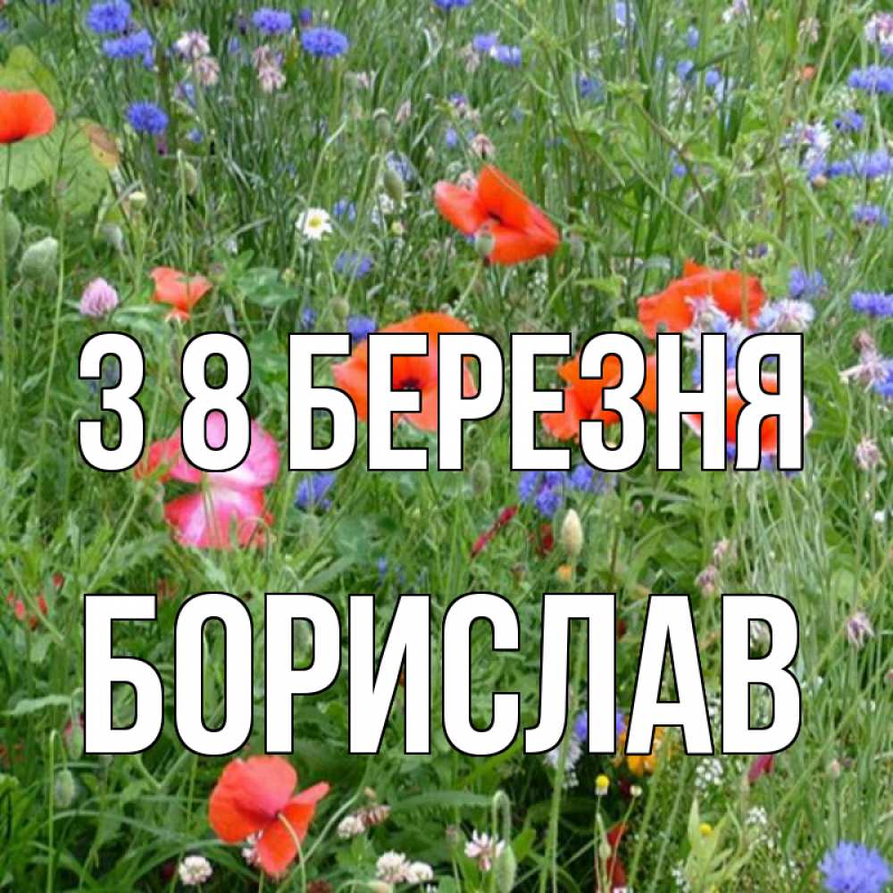 Открытка на каждый день з підписом, Борислав З 8 БЕРЕЗНЯ международный женский день 4 Прикольна листівка з побажанням онлайн скачати безкоштовно 