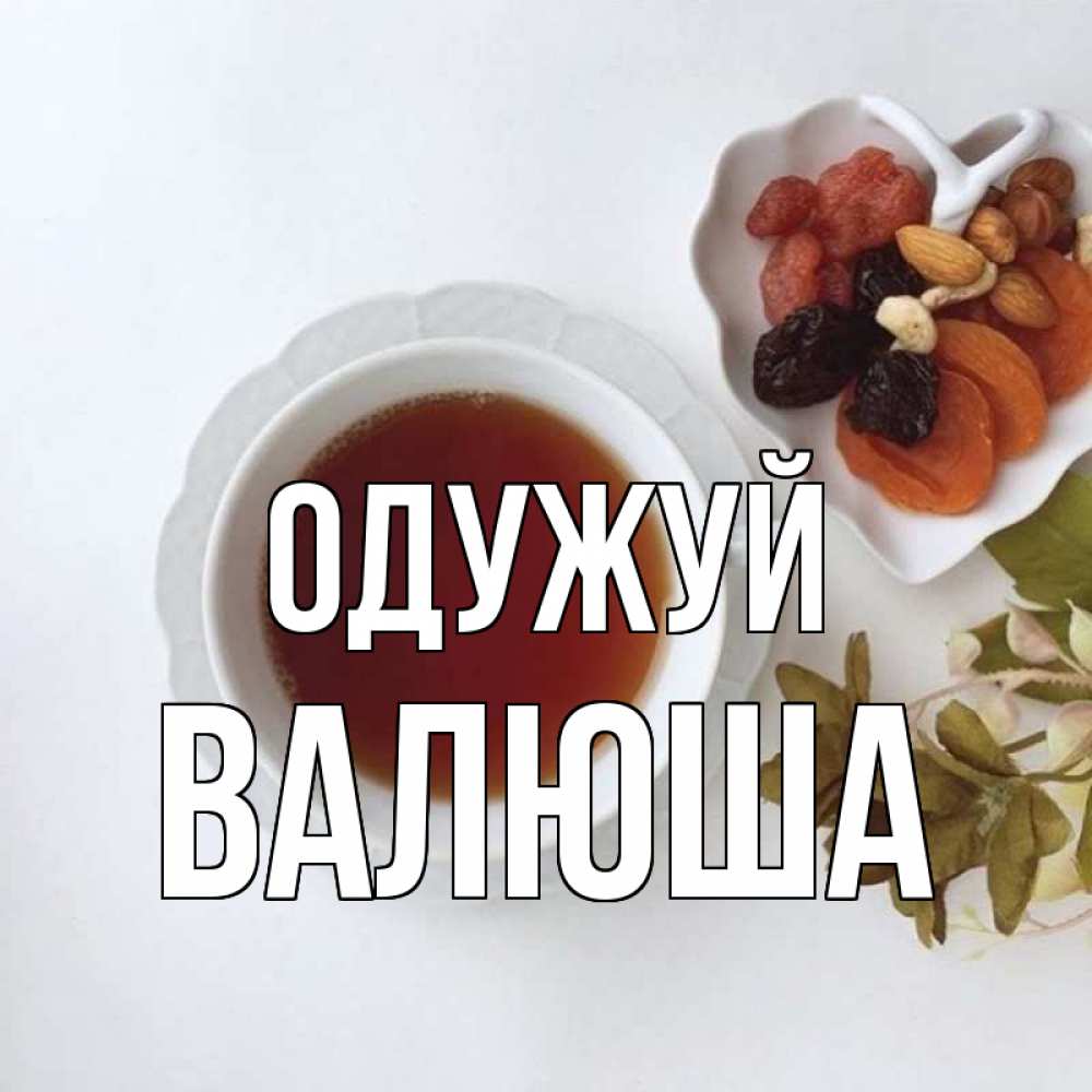Открытка на каждый день з підписом, Валюша Одужуй неизвестные растения Прикольна листівка з побажанням онлайн скачати безкоштовно 
