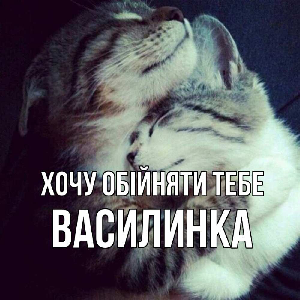 Открытка на каждый день з підписом, Василинка Хочу обійняти тебе полосатики Прикольна листівка з побажанням онлайн скачати безкоштовно 