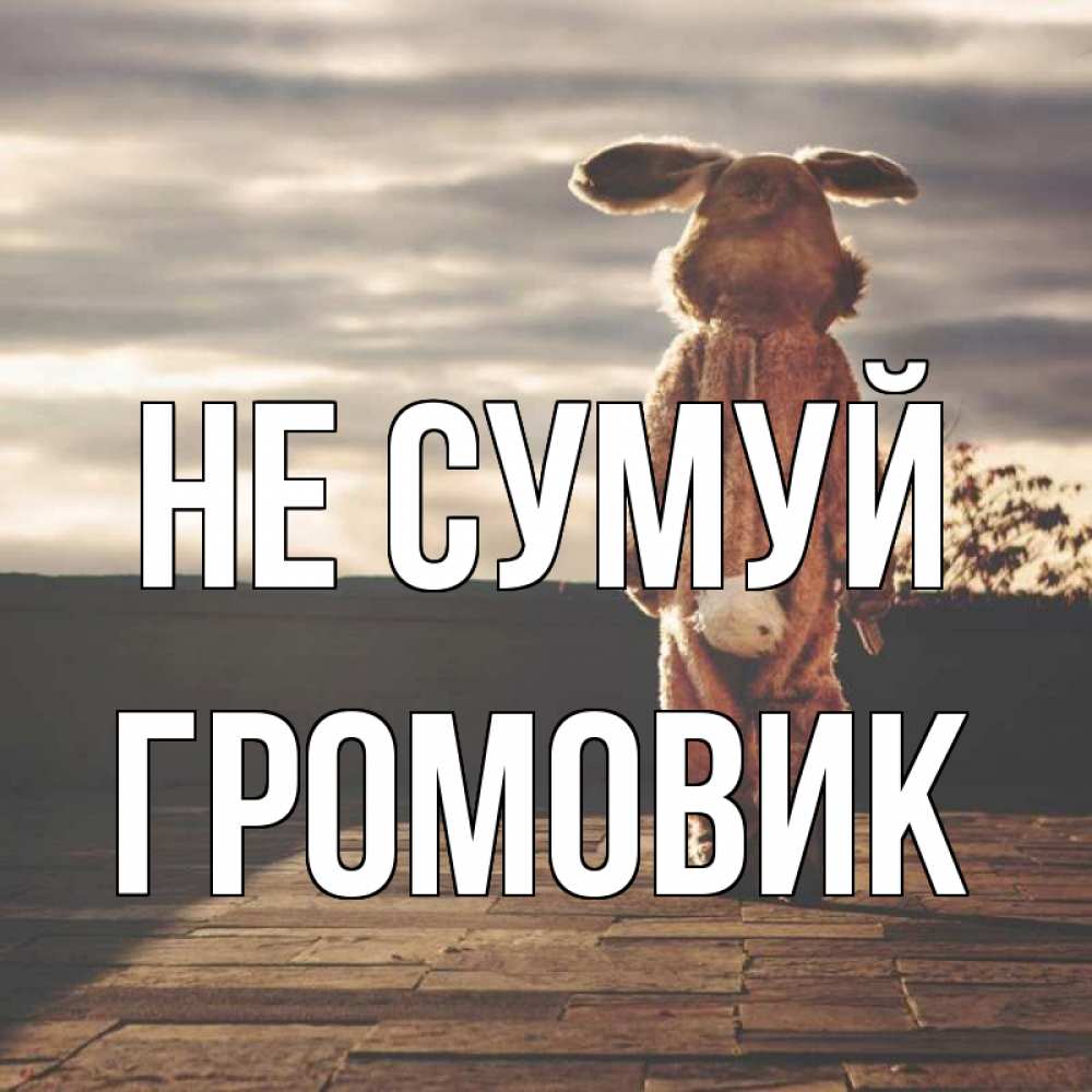 Открытка на каждый день з підписом, Громовик Не сумуй со спины Прикольна листівка з побажанням онлайн скачати безкоштовно 