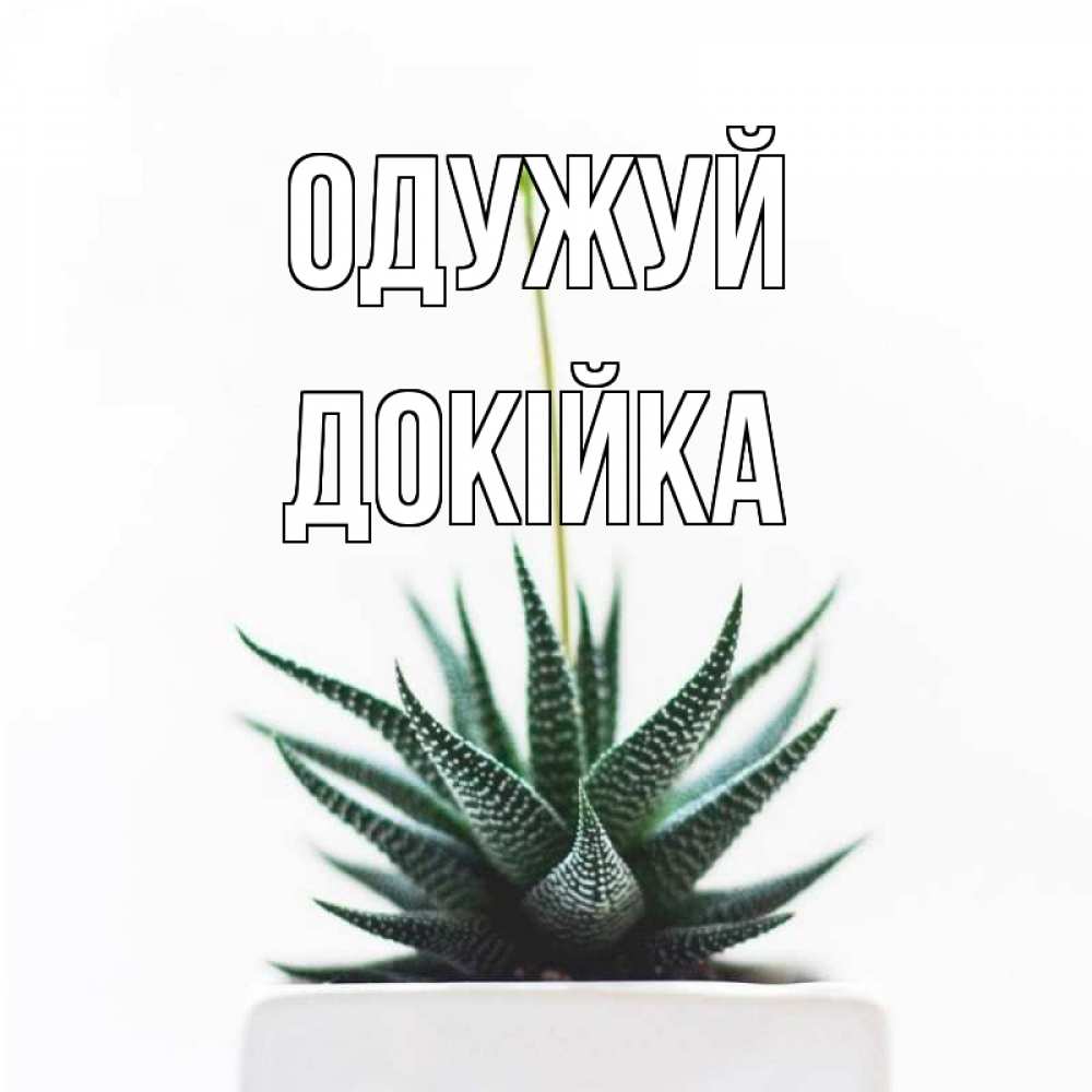 Открытка на каждый день з підписом, Докійка Одужуй короче это непонятная колючка Прикольна листівка з побажанням онлайн скачати безкоштовно 