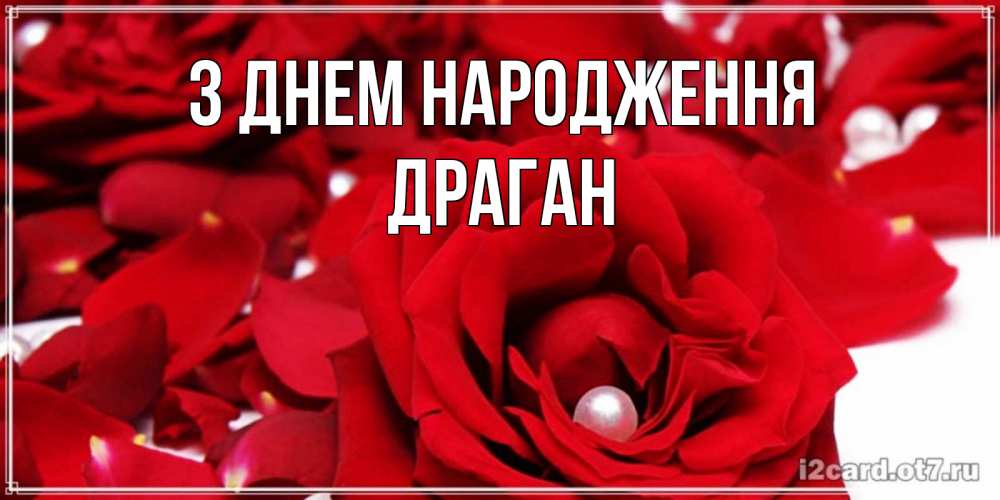 Открытка на каждый день з підписом, Драган З Днем народження роза с жемчужиной на открытке для любимых Прикольна листівка з побажанням онлайн скачати безкоштовно 