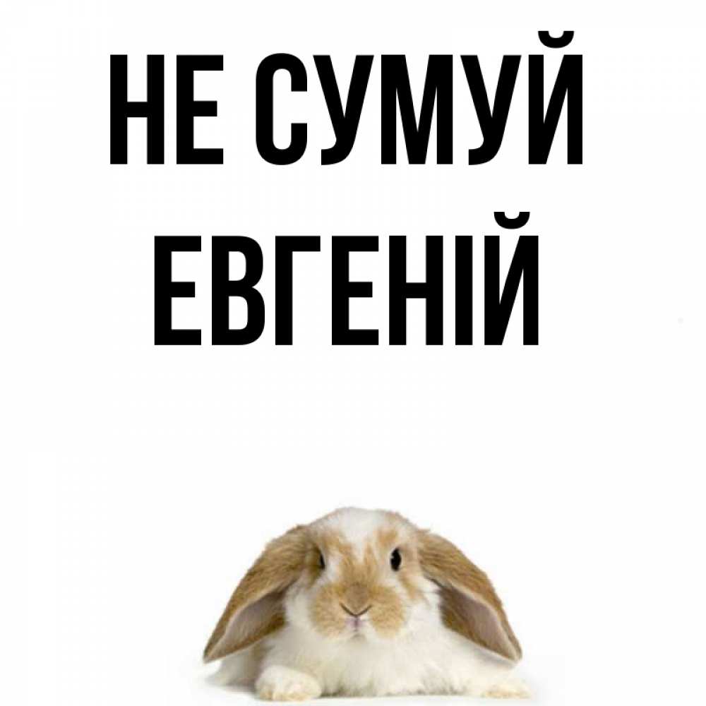 Открытка на каждый день з підписом, Евгеній Не сумуй коричнево белый заяц с большими ушками Прикольна листівка з побажанням онлайн скачати безкоштовно 