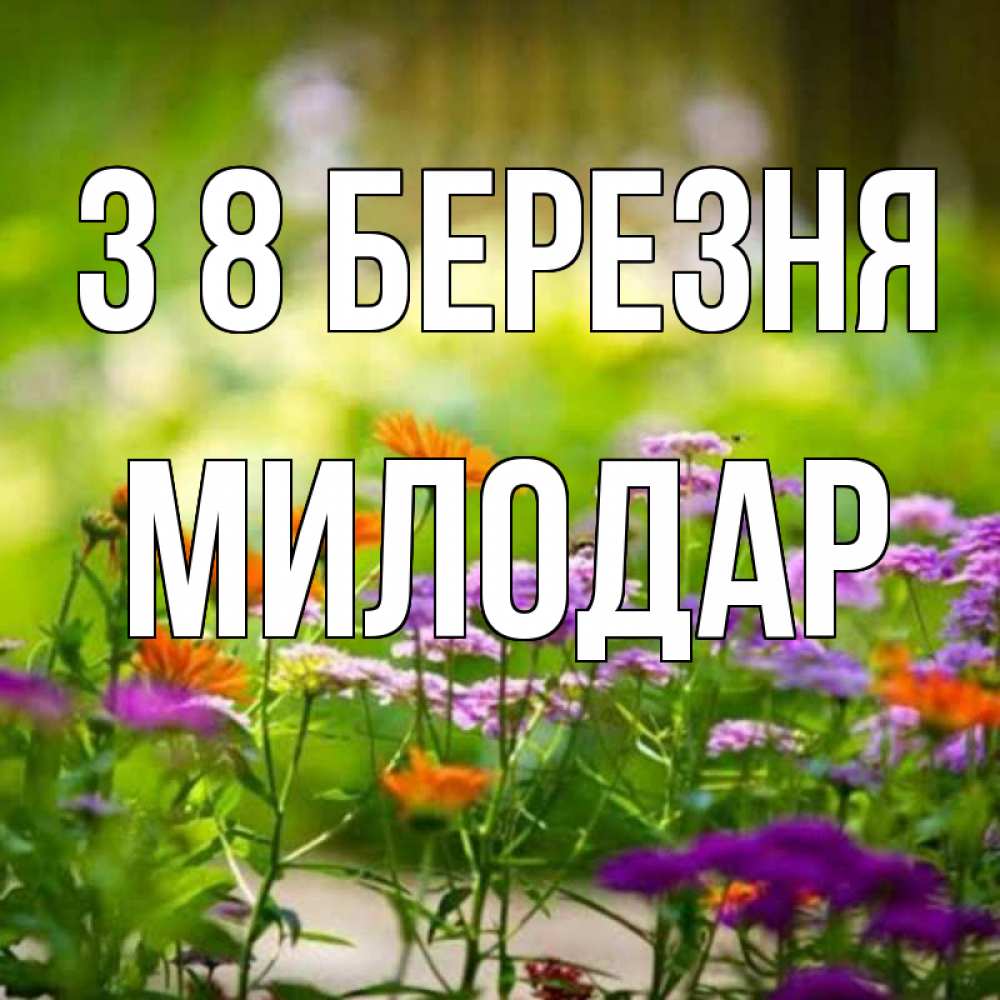 Открытка на каждый день з підписом, Милодар З 8 БЕРЕЗНЯ цветы Прикольна листівка з побажанням онлайн скачати безкоштовно 