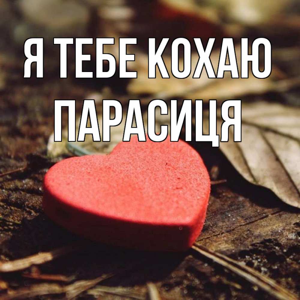 Открытка на каждый день з підписом, Парасиця Я тебе кохаю листья деревье 4 Прикольна листівка з побажанням онлайн скачати безкоштовно 