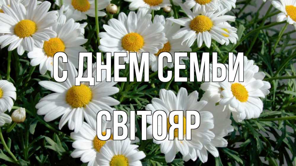 Открытка на каждый день з підписом, Світояр С днем семьи с днем семьи Прикольна листівка з побажанням онлайн скачати безкоштовно 