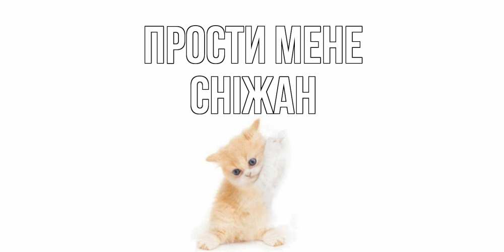 Открытка на каждый день з підписом, Сніжан Прости мене кот Прикольна листівка з побажанням онлайн скачати безкоштовно 