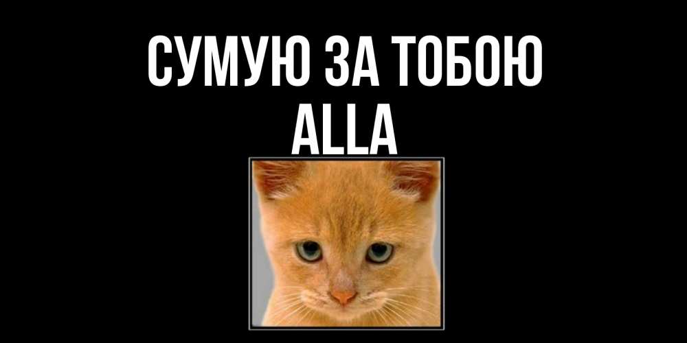 Открытка на каждый день з підписом, Alla Сумую за тобою открытки рыжий котенок скучает по тебе Прикольна листівка з побажанням онлайн скачати безкоштовно 