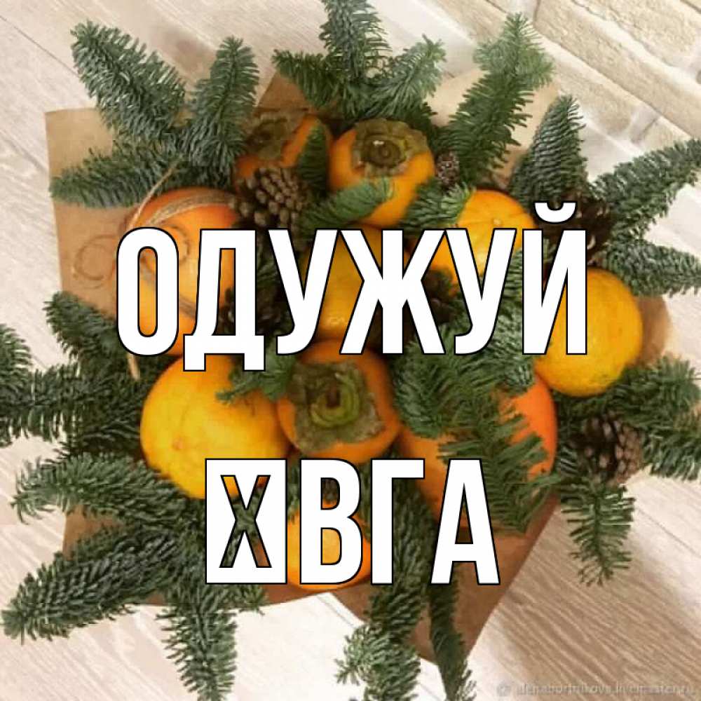 Открытка на каждый день з підписом, Ївга Одужуй апельсины и хурьма Прикольна листівка з побажанням онлайн скачати безкоштовно 