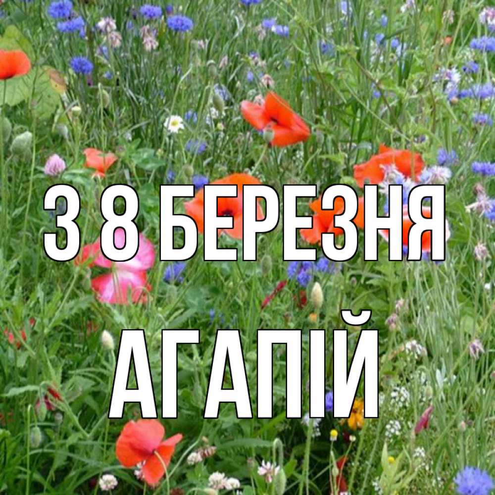 Открытка на каждый день з підписом, Агапій З 8 БЕРЕЗНЯ международный женский день 4 Прикольна листівка з побажанням онлайн скачати безкоштовно 