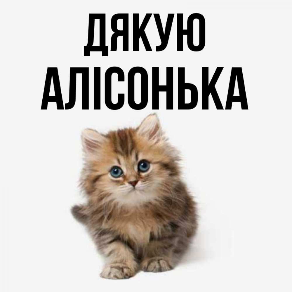 Открытка на каждый день з підписом, Алісонька Дякую пушистый котик Прикольна листівка з побажанням онлайн скачати безкоштовно 