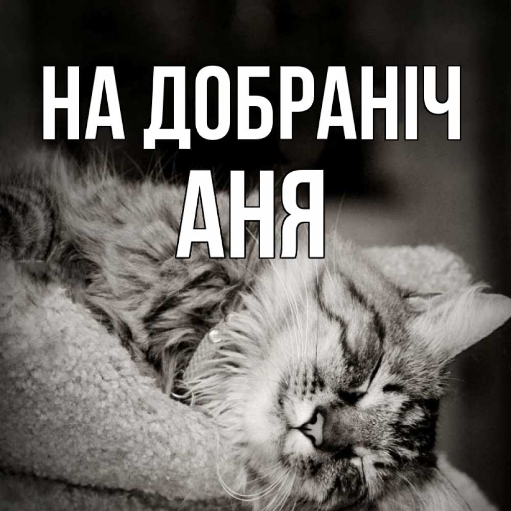 Открытка на каждый день з підписом, Аня На добраніч котярик пушистый Прикольна листівка з побажанням онлайн скачати безкоштовно 