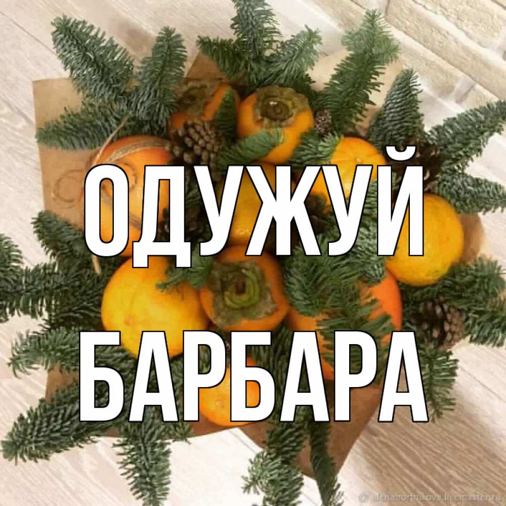 Открытка на каждый день з підписом, Барбара Одужуй апельсины и хурьма Прикольна листівка з побажанням онлайн скачати безкоштовно 