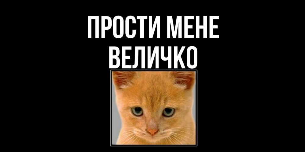 Открытка на каждый день з підписом, Величко Прости мене рыжий грустный кот просит прощения Прикольна листівка з побажанням онлайн скачати безкоштовно 