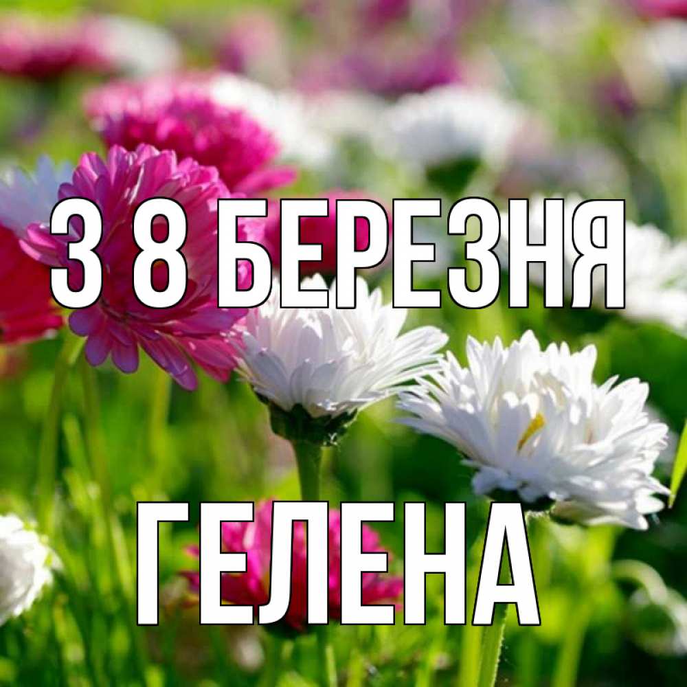 Открытка на каждый день з підписом, Гелена З 8 БЕРЕЗНЯ международный женский день 1 Прикольна листівка з побажанням онлайн скачати безкоштовно 
