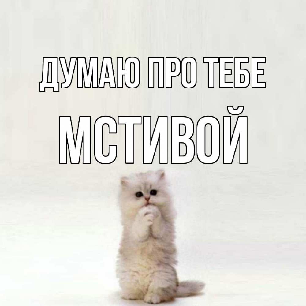 Открытка на каждый день з підписом, Мстивой Думаю про тебе кот стоит на задних лапах Прикольна листівка з побажанням онлайн скачати безкоштовно 